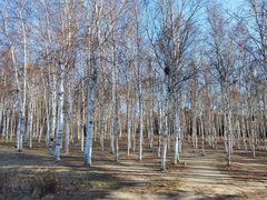 -长春市南湖公园