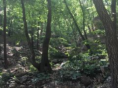 -北京上方山国家森林公园