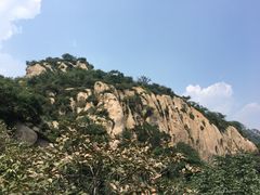 -大岭沟猕猴桃谷风景区