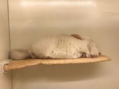 -龙猫仔乐园(惠福东路店)