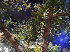 -绿茶餐厅(燕郊永旺店)