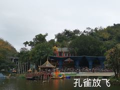 -西双版纳原始森林公园