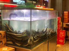 -本炙炭烤·蒲烧活鳗料理店(金沙洲店)
