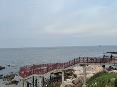 -养马岛旅游度假区
