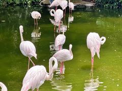 -太平洋海底世界