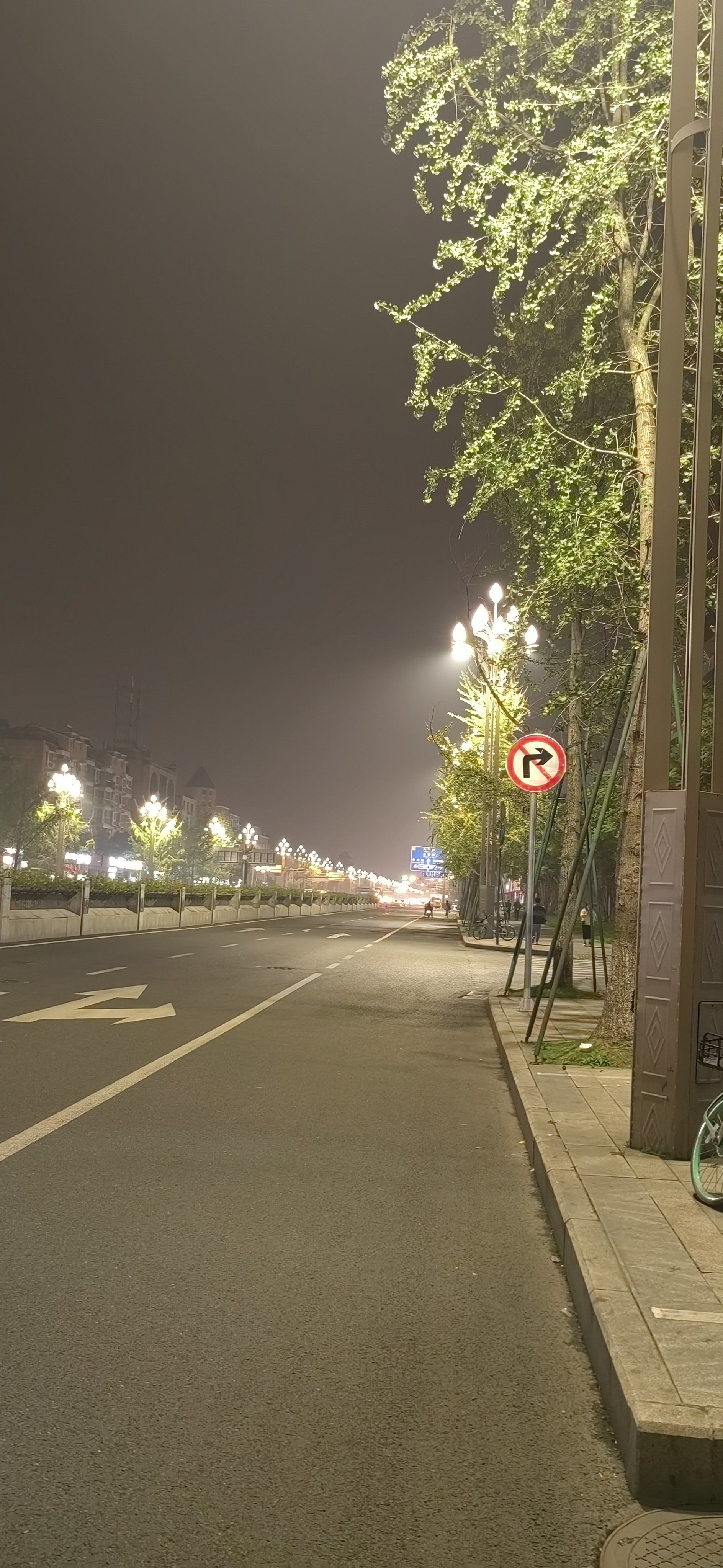 晚上骑自行车游玩的时候,突然发现在路灯的照耀下夜景很是好看哇[偷笑