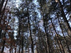 -帽儿山国家森林公园