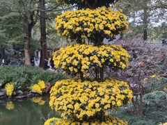 -杭州植物园