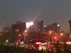 -双季花艺园艺市场(浦东店)