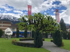 -因特拉肯贝乌里瓦奇大酒店