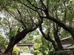 -韩湘水博园