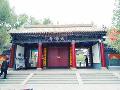 -张掖大佛寺景区