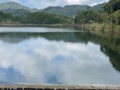 -海南热带雨林国家公园吊罗山景区