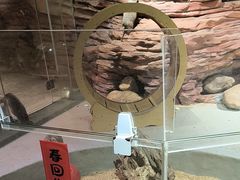 -正佳雨林生态植物园
