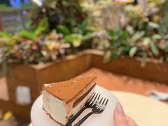 提拉米苏-tea'stone (万象天地店)