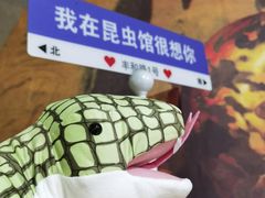 -上海大自然野生昆虫馆(东方明珠·爬宠昆虫探索中心)
