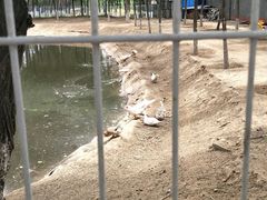 -东郊湿地公园