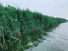 -西青郊野公园