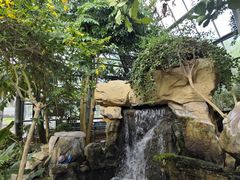 -南山植物园