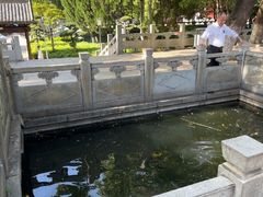 -绳金塔