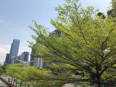 -喜茶(深圳丰盛町店)