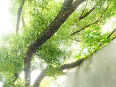 -湖北美术学院(昙华林校区)