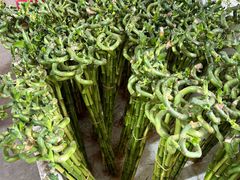 -三圣花乡旅游区