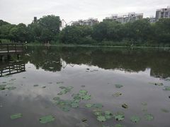 -新江湾城公园