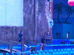 -华夏文旅海洋公园