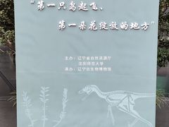 -辽宁古生物博物馆
