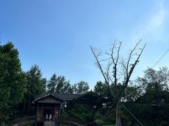 -黄陂区野村谷景区
