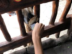 -长鹿旅游休博园