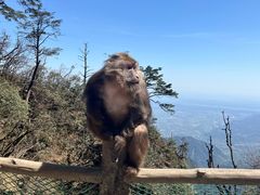 -峨眉山风景名胜区