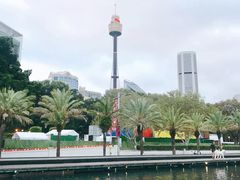 -悉尼塔旋转餐厅
