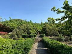 -白马涧龙池景区