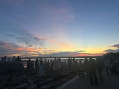 -宝安西湾红树林湿地公园