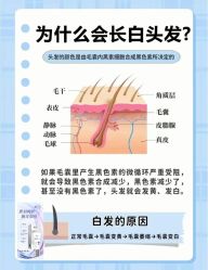 -Bollins波林丝•专研护发中心