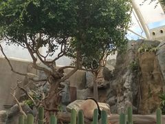 -香港海洋公园