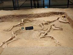 -洛阳周王城天子驾六博物馆