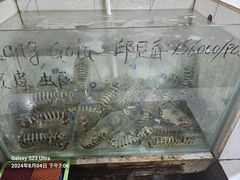 -海盗餐厅