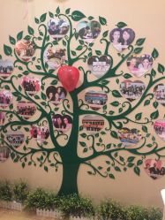 -紫琪尔国际丰胸美胸机构