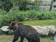 -北京野生动物园