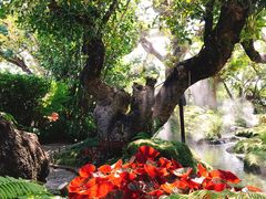 -Chom Cafe and Restaurant