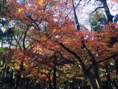 -虞山风景区