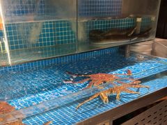 -隐炉和牛烧肉店(群力店)