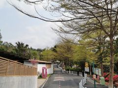 -盈香心动乐园