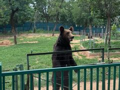 -秦皇岛野生动物园