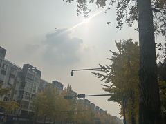 -大邑李记肥肠血旺