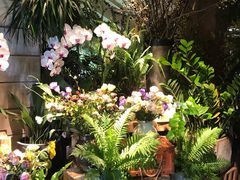 -春暖花开(西溪店)