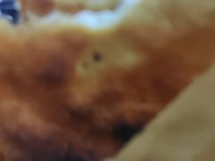 -大众跷脚牛肉馆·非遗传承单位(峨眉山店)